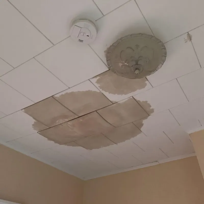 Ceiling Water Damage Repair in Dousman, WI