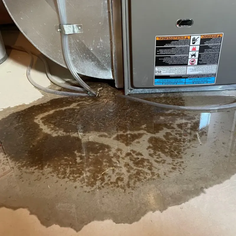 Pipe Burst and Leak Restoration in Dousman, WI